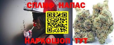 гашик Кандалакша