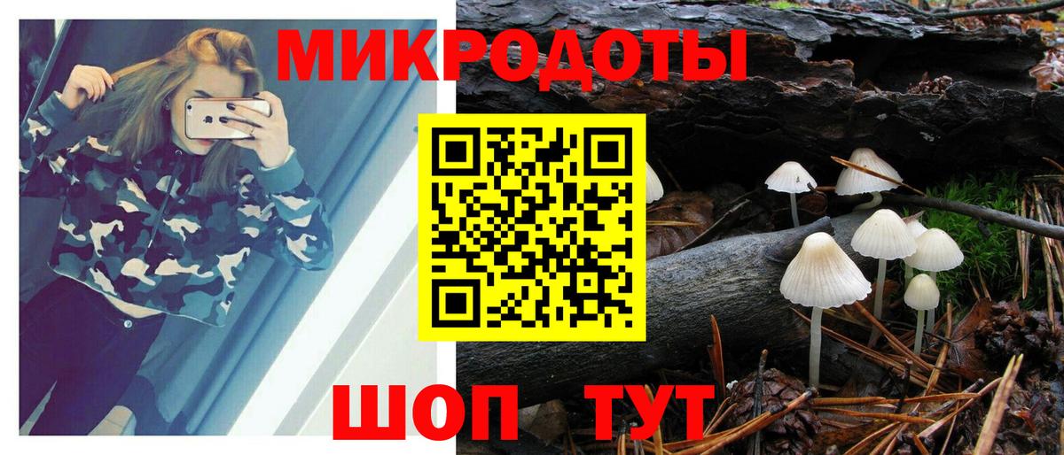 Псилоцибиновые грибы GOLDEN TEACHER  Вход с VPN  Псилоцибиновые грибы Psilocybine cubensis  Старый Оскол 